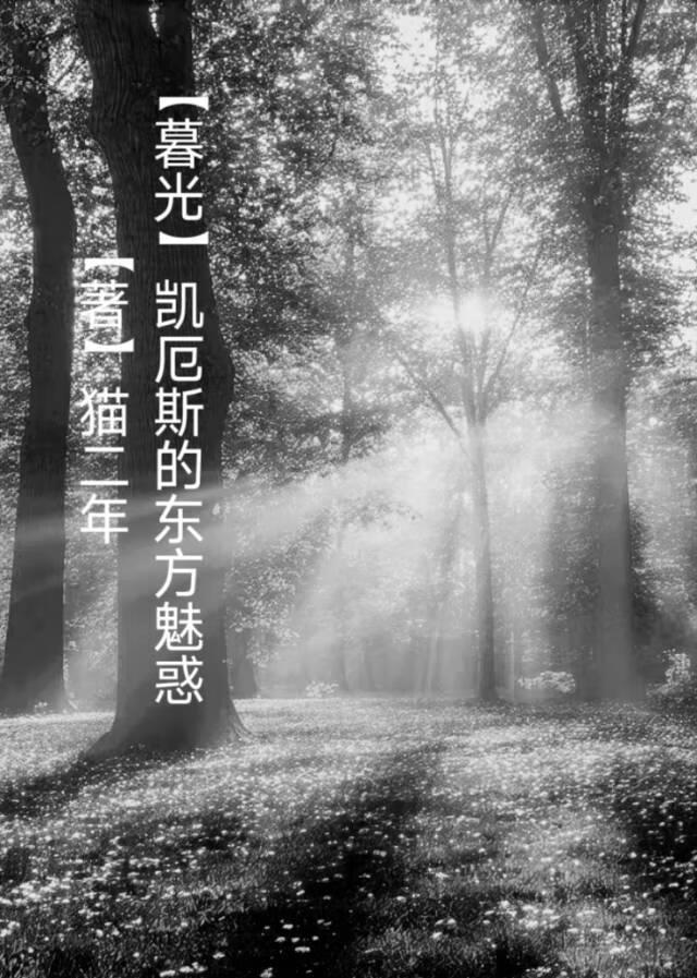 我无敌你随意齐天唐妩短剧